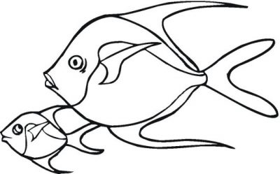 Skipper Fish Coloring Page