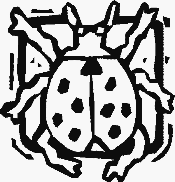 Spotted Beetles Coloring Page