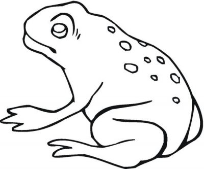 Spotted Frog Coloring Page