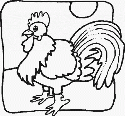 Strutting Rooster Fun Bird Coloring Pages