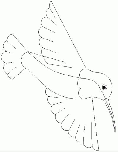 Tiny Hummingbird Coloring Page