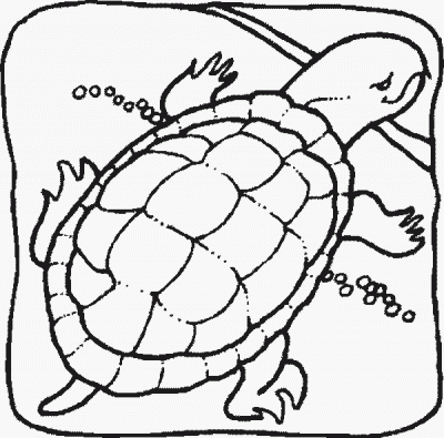 Turtle as a Pet Domestic Animal Coloring Page