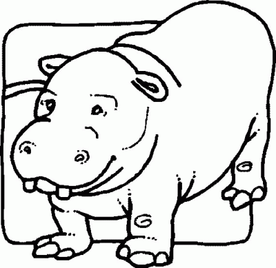 Typical Hippopotomus Coloring Page