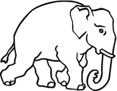 Wild Elephant Coloring Page