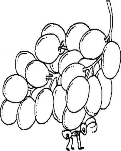 Ant N Grapes Coloring Page