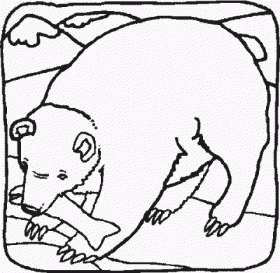 Bearr Coloring Page