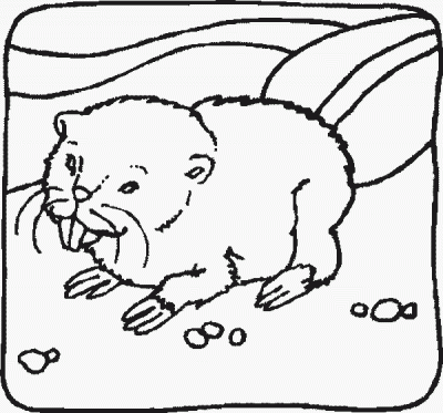 Beaverr Coloring Page