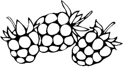 Boysenberries Coloring Page