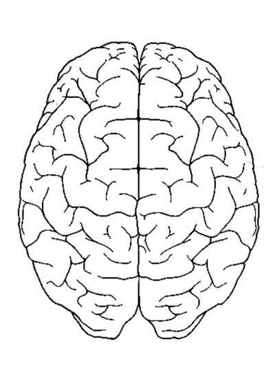 Brain Coloring Page