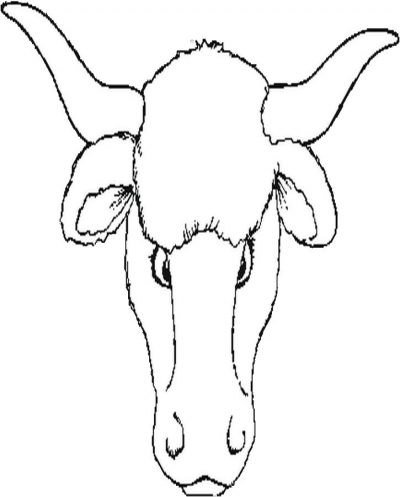 Bull Coloring Page