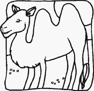 Camelr Coloring Page