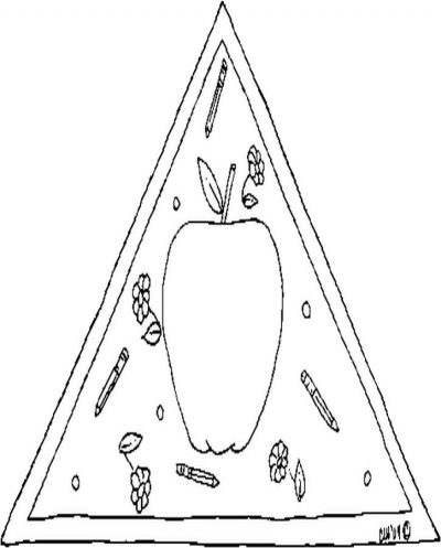 Cnr Apple Coloring Page