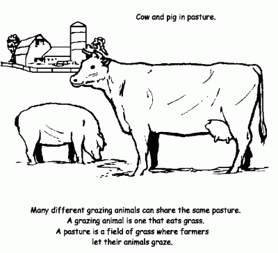 Cowpig Coloring Page