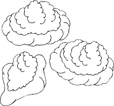Cream Puffs Coloring Page