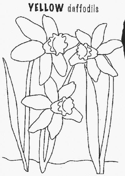 Daff Coloring Page