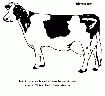 Dairycow Coloring Page