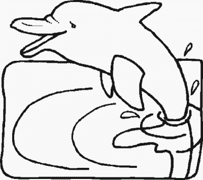 Dolphinr Coloring Page