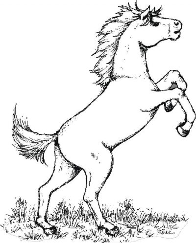 Horse Coloring Page