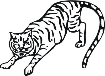 Lionsandtigers Coloring Page