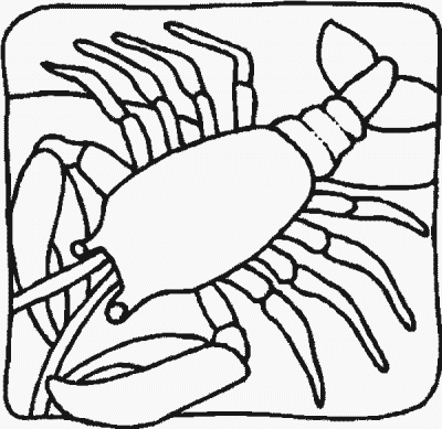 Lobsterr Coloring Page