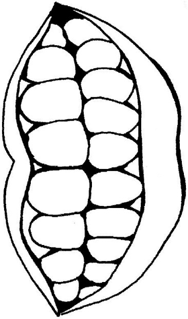 Mouth Coloring Page