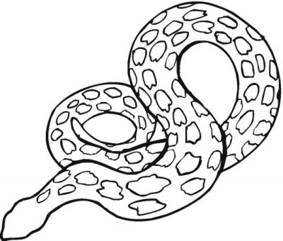 Reptile Coloring Page