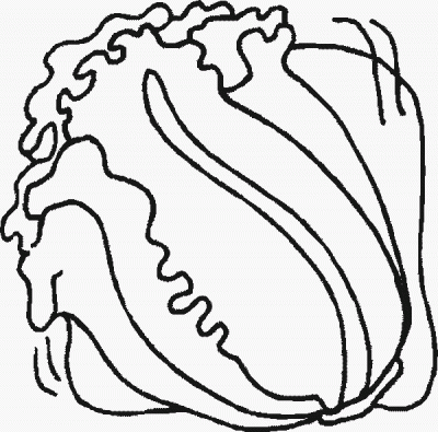 Romaine Coloring Page