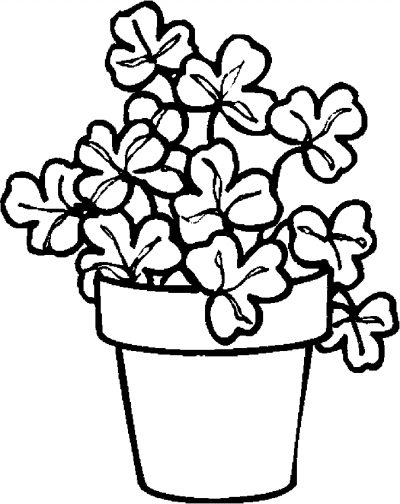 Shamrock Plant Coloring Page