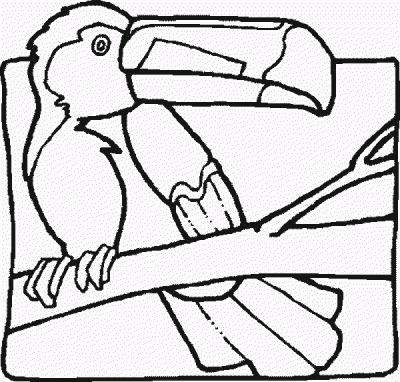 Toucanr Coloring Page