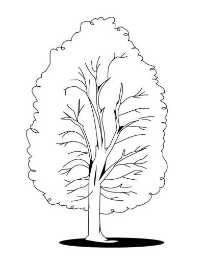 Trees Coloring Page