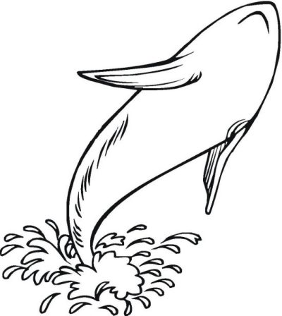 Whale Coloring Page