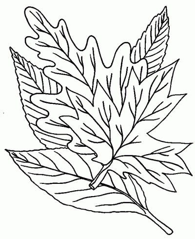 Fallleaves Coloring Page