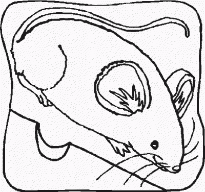 Mouser Coloring Page