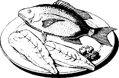 Fish &#8211; Whole &amp; Filet Coloring Page