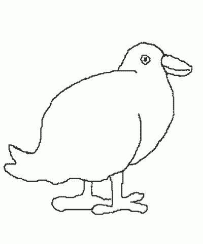 Spring &#8211; Chick Coloring Page