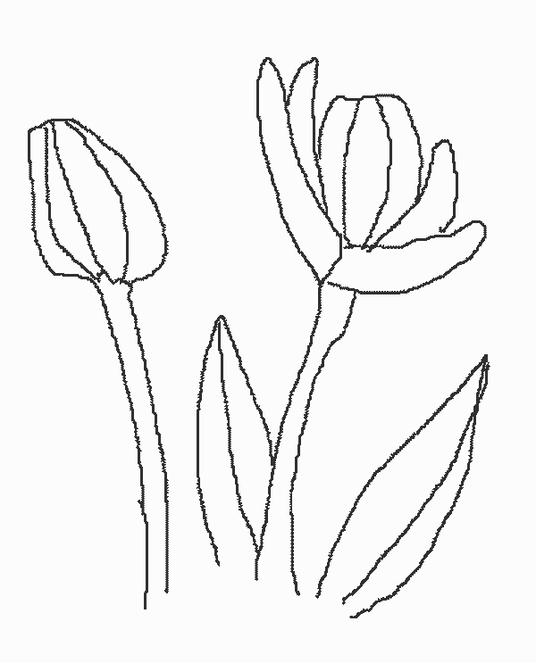 Spring &#8211; Flowers Coloring Page