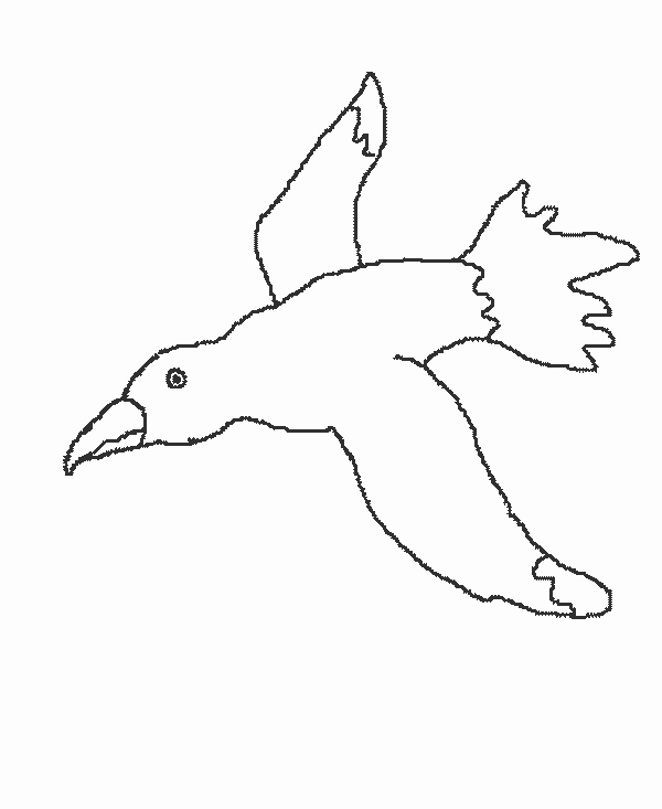 Spring &#8211; Gull Coloring Page